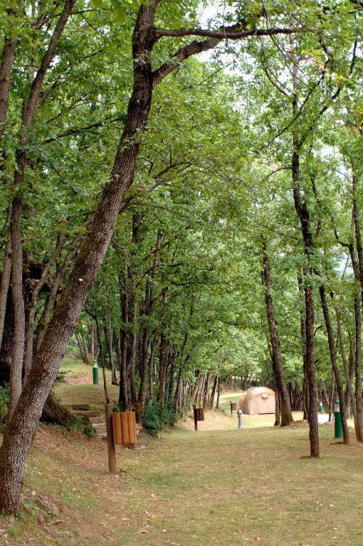 ホテルCamping Gavín エクステリア 写真